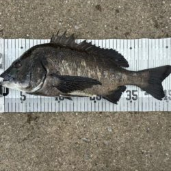 イチノ兄弟、釣果!