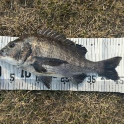 イチノ兄弟、釣果！