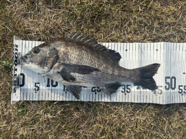 イチノ兄弟、釣果！