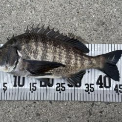 イチノ兄弟、釣果！