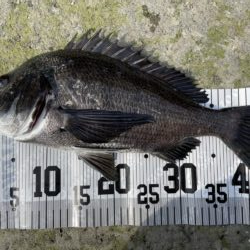 イチノ兄弟、釣果!