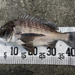 イチノ兄弟、釣果!