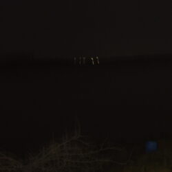 今年も何とかアフターのハチマル