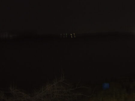 今年も何とかアフターのハチマル