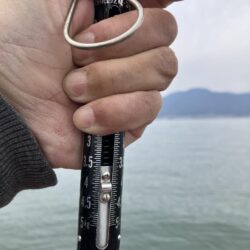 今シーズン1号北山田60cm4100g