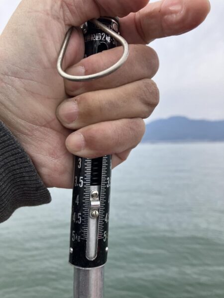 今シーズン1号北山田60cm4100g