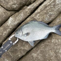 初めての磯釣り