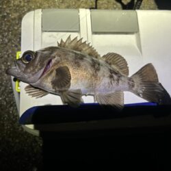 フロートメバリング