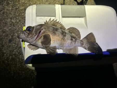 フロートメバリング