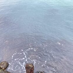 真冬の海でカサゴゲット！