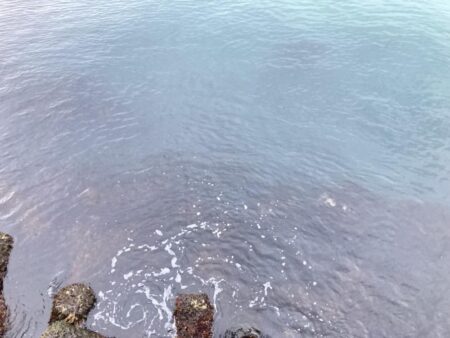 真冬の海でカサゴゲット！