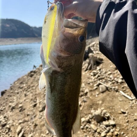 プリスポーン⁉️