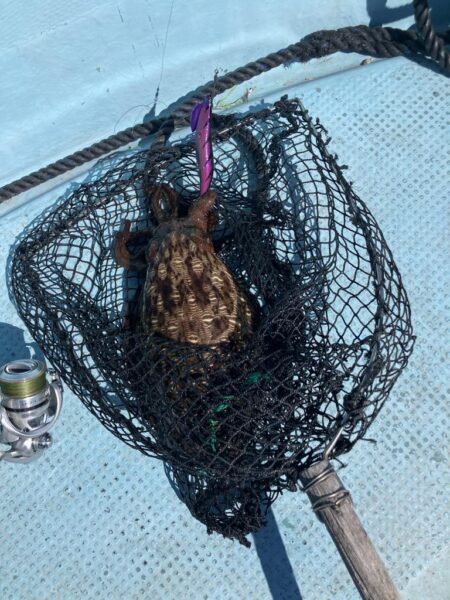 タイラバとティップラン