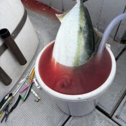 初ジギングin丹後