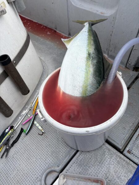 初ジギングin丹後