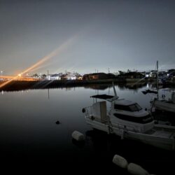 メバル⑨、タケノコメバル②