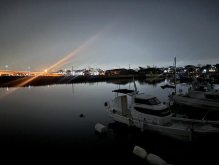 メバル⑨、タケノコメバル②