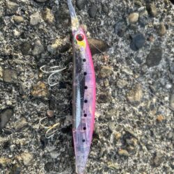 2026年ショアジギ初戦でメジロ!