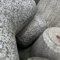 2026.No.6 ライトゲーム