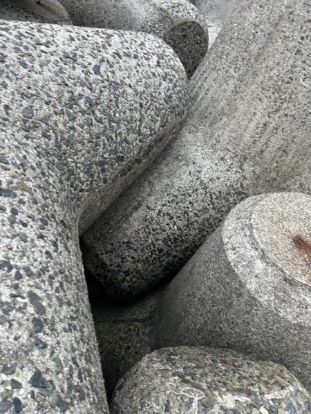 2026.No.6 ライトゲーム