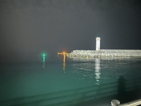 ヤリイカ、ケンサキイカ