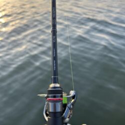 ハゼクラロッドで…