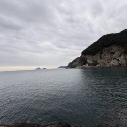 ショアジギング？