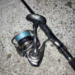 シーバスロッドでフロートアジング