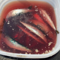 イワシ爆釣なり2nd