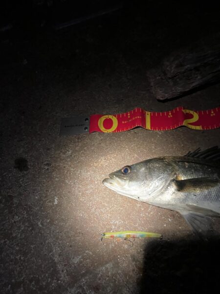 ガテン系お試し釣行成功！！