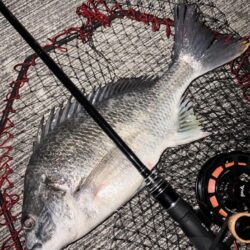 ヘチってきました