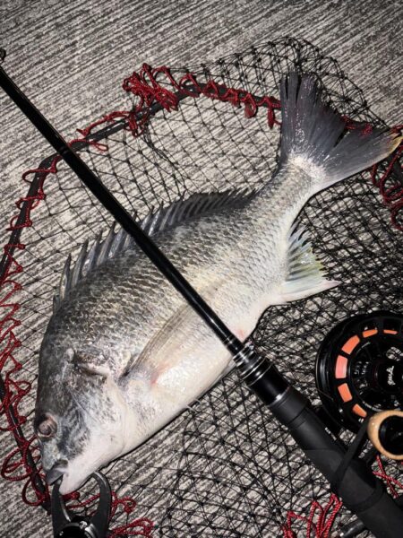 ヘチってきました