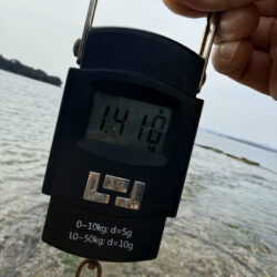 春烏賊ー🦑🌸