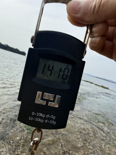 春烏賊ー🦑🌸