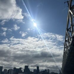 今年の初チヌ!た