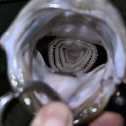 アミパターン攻略？！