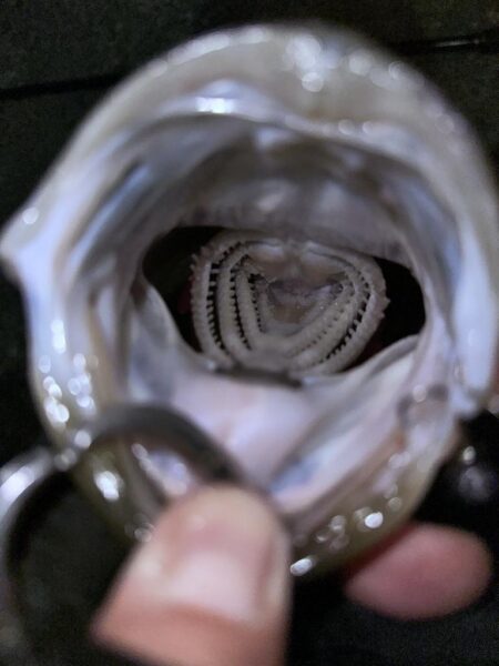 アミパターン攻略？！