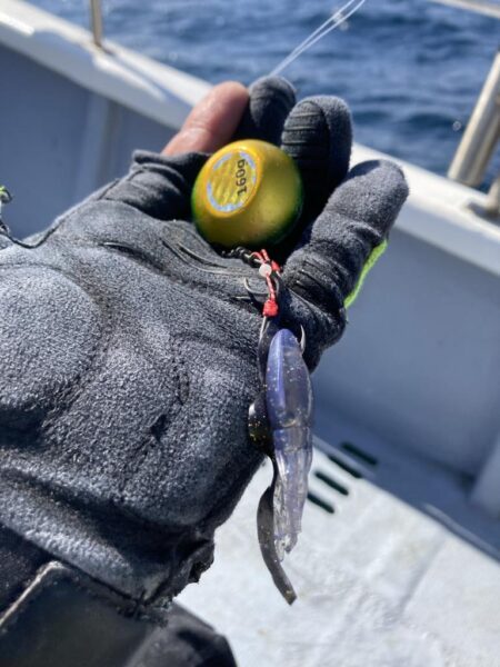 旬のグレジギング!