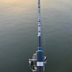 やっと今年2枚目！