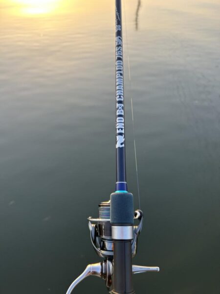 やっと今年2枚目！