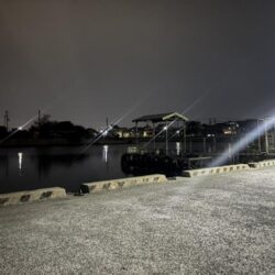 メバル10、ガシラ⑤