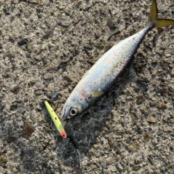 ショアジギング　6
