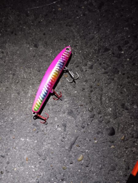 連日の釣果　シーバス２匹