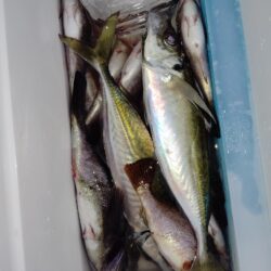 少数精鋭でした