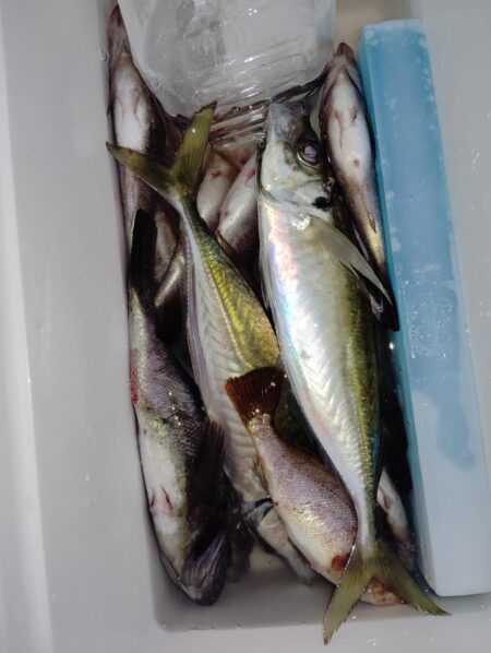 少数精鋭でした