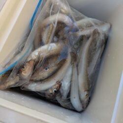 キス釣り☆荒川屋