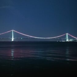 電気ウキ釣り 9