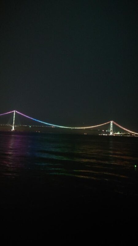 電気ウキ釣り 10