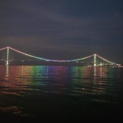 電気ウキ釣り 11