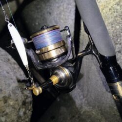 終了前に時合い⋯